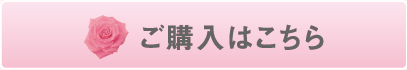 ご購入はこちら