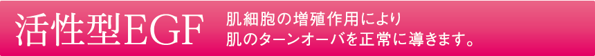 活性型EGF 肌細胞の増殖作用により肌のターンオーバを正常に導きます。